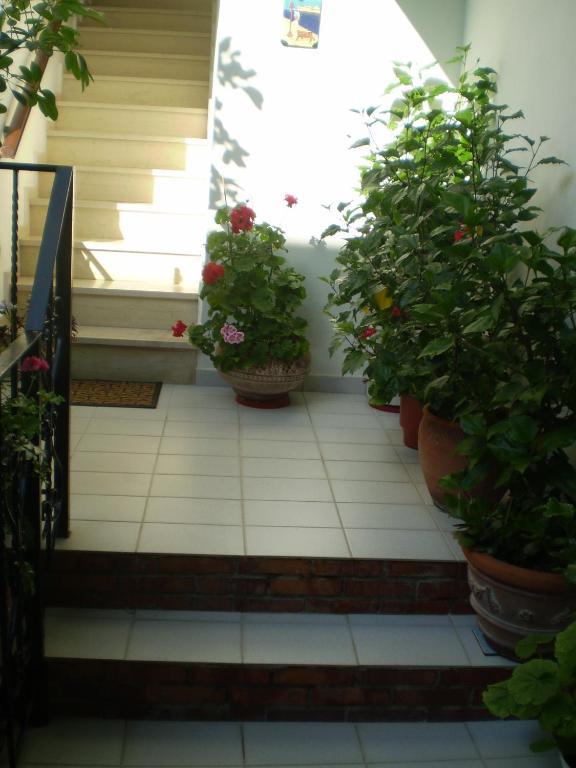 Studios Nopi-Zoi Skiathos Chora Extérieur photo