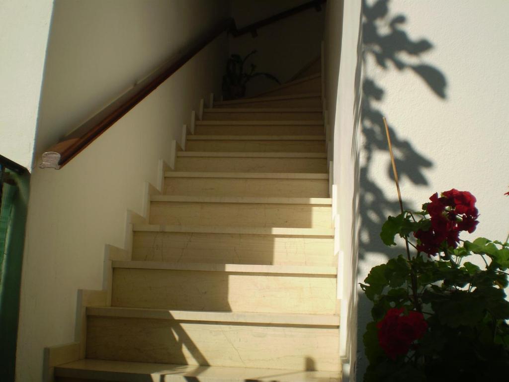 Studios Nopi-Zoi Skiathos Chora Extérieur photo