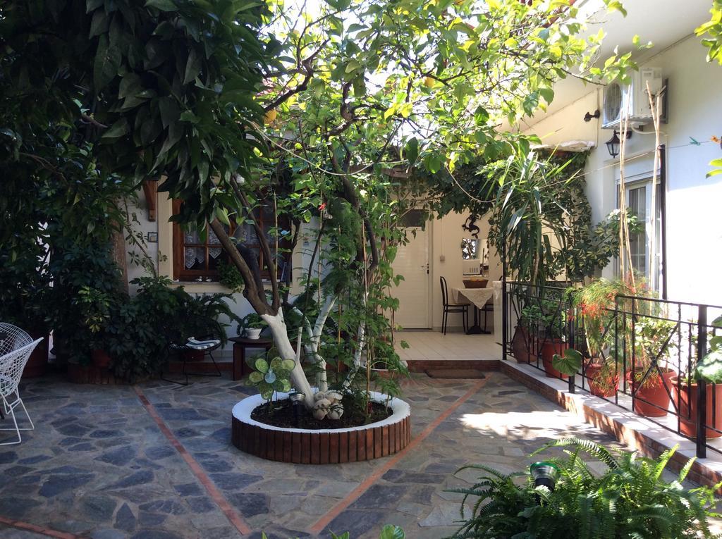 Studios Nopi-Zoi Skiathos Chora Extérieur photo